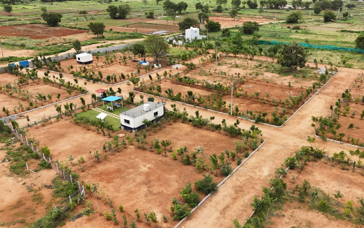 About Emerald Farms